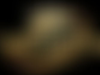 REDE TV! PARANÁ ESTREIA “BRILHANDO” E CONSOLIDA NOVA FASE DE INOVAÇÃO E CRESCIMENTO