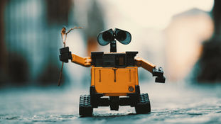 AI and Real Estate: Why the Smartest Wellington Sellers Are Using Both