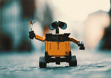 Robot Holding Twig