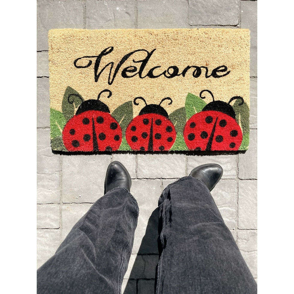 Thumbnail: Printed Coir Door Mat 18x30 - Ladybug