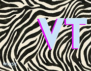 Seeing Double Zebra Back.jpg