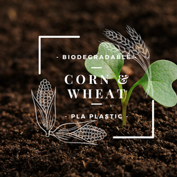 Biodegradable Plastic Bottles