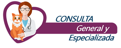 Consulta General.png