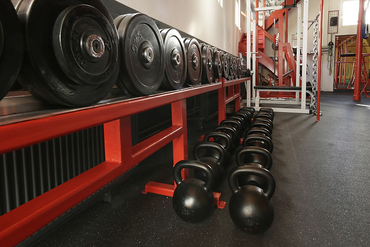 Gym Equipment Setup