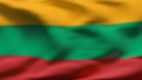 international-driver's-license-lithuania.jpeg