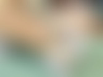 犬は人間家族を「群れ」として見ているのか?