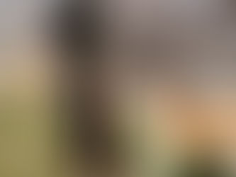 続:さらに吠えやすくしてしまう人の行動