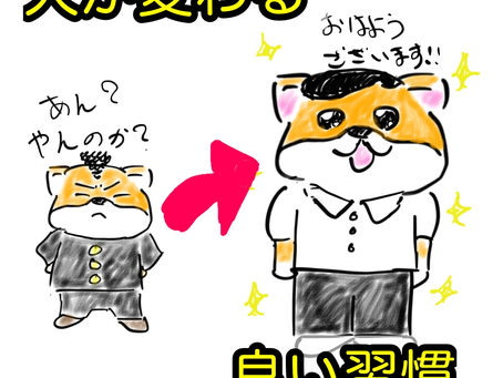 犬に良い影響を与える『日々の習慣』3選