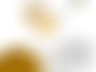 「つまらないって思われてたんだ・・・」犬をやる気にさせる遊び方