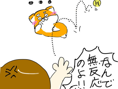 「つまらないって思われてたんだ・・・」犬をやる気にさせる遊び方