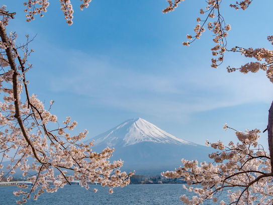 Plan your custom Japan itinerary in 2025