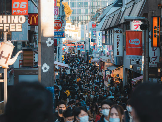 Tourism Trends in Japan — What’s Hot in 2025