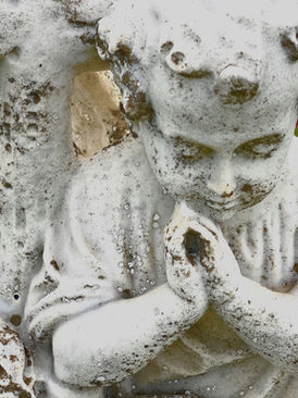 Meditations in the boneyard