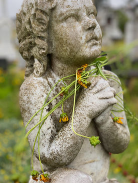 Healing power of nature 