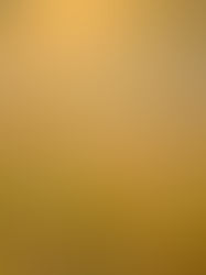 Wandering through tranquility 