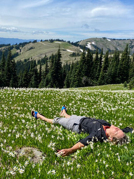 Fields of dreams, Cascade Mtns, Washington 