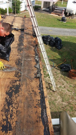 16708185_392438541117817_5450676969840733205_n