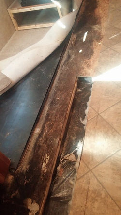 16684211_392489867779351_4238078344869509806_n