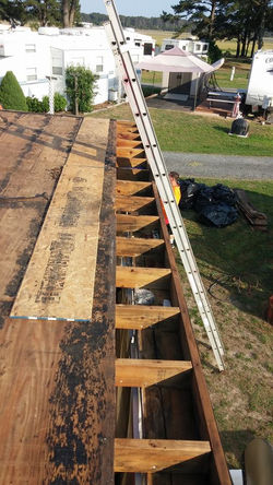 16729458_392438924451112_4043480151180904639_n