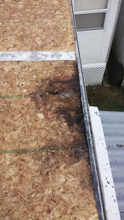 16684100_392437064451298_572620450963781791_n