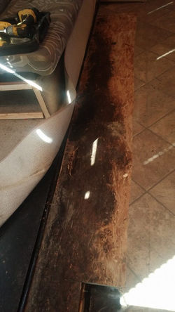 16806923_392489954446009_2125866227157353997_n