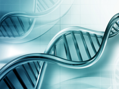 Epigenética y Bienestar: La Clave para una Vida Saludable