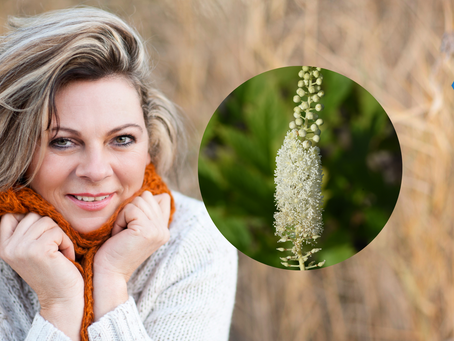 Cohosh Negro: Descubriendo los Beneficios para la Salud de las Mujeres.