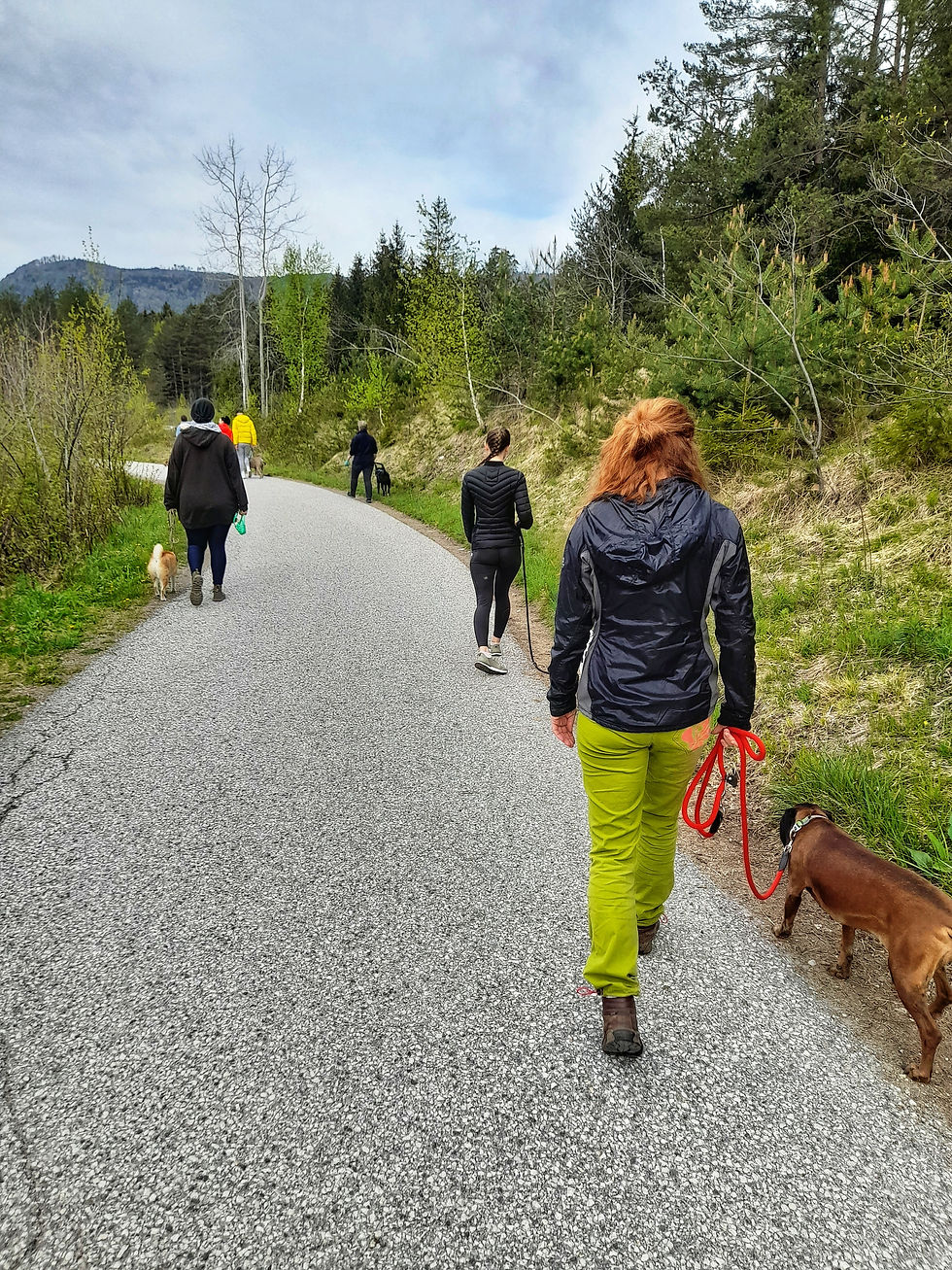 Teamwork Spaziergang _ 9.0