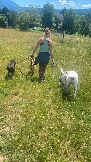 Anna mit Honey, Timon & Nera