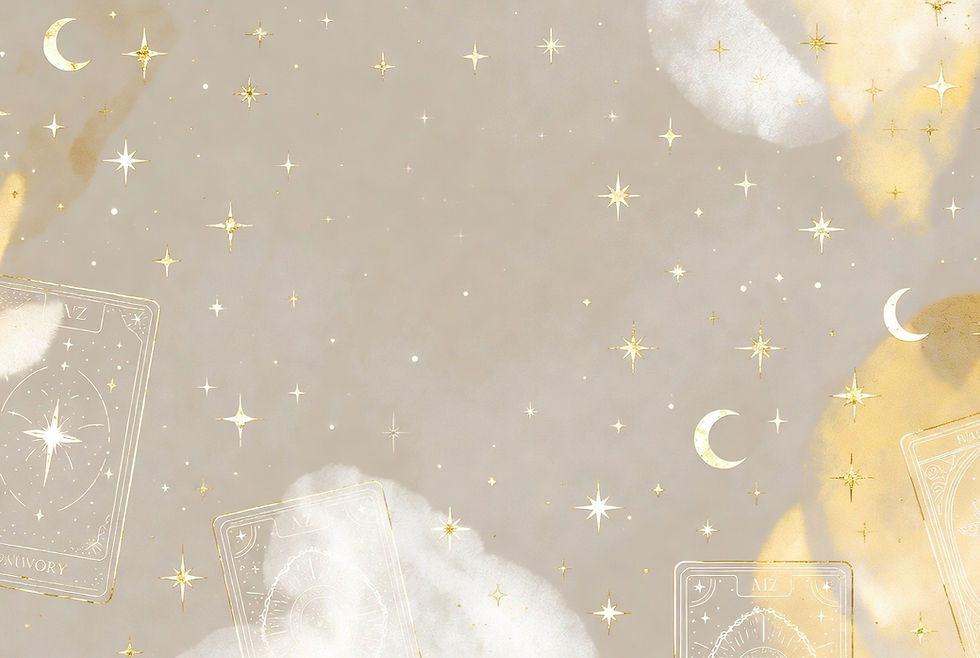 download - 2026-02-19T173509.791.jpeg