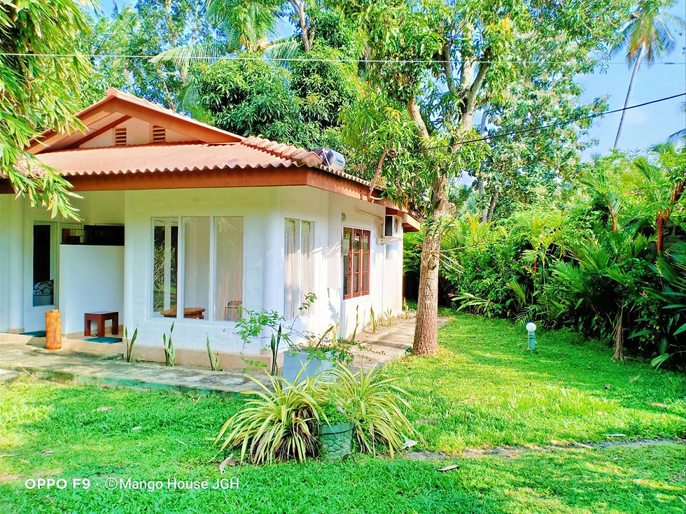 Cottage 03