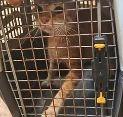 IMG-20251021-WA0025_edited_edited_edited