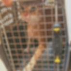 IMG-20251021-WA0025_edited_edited