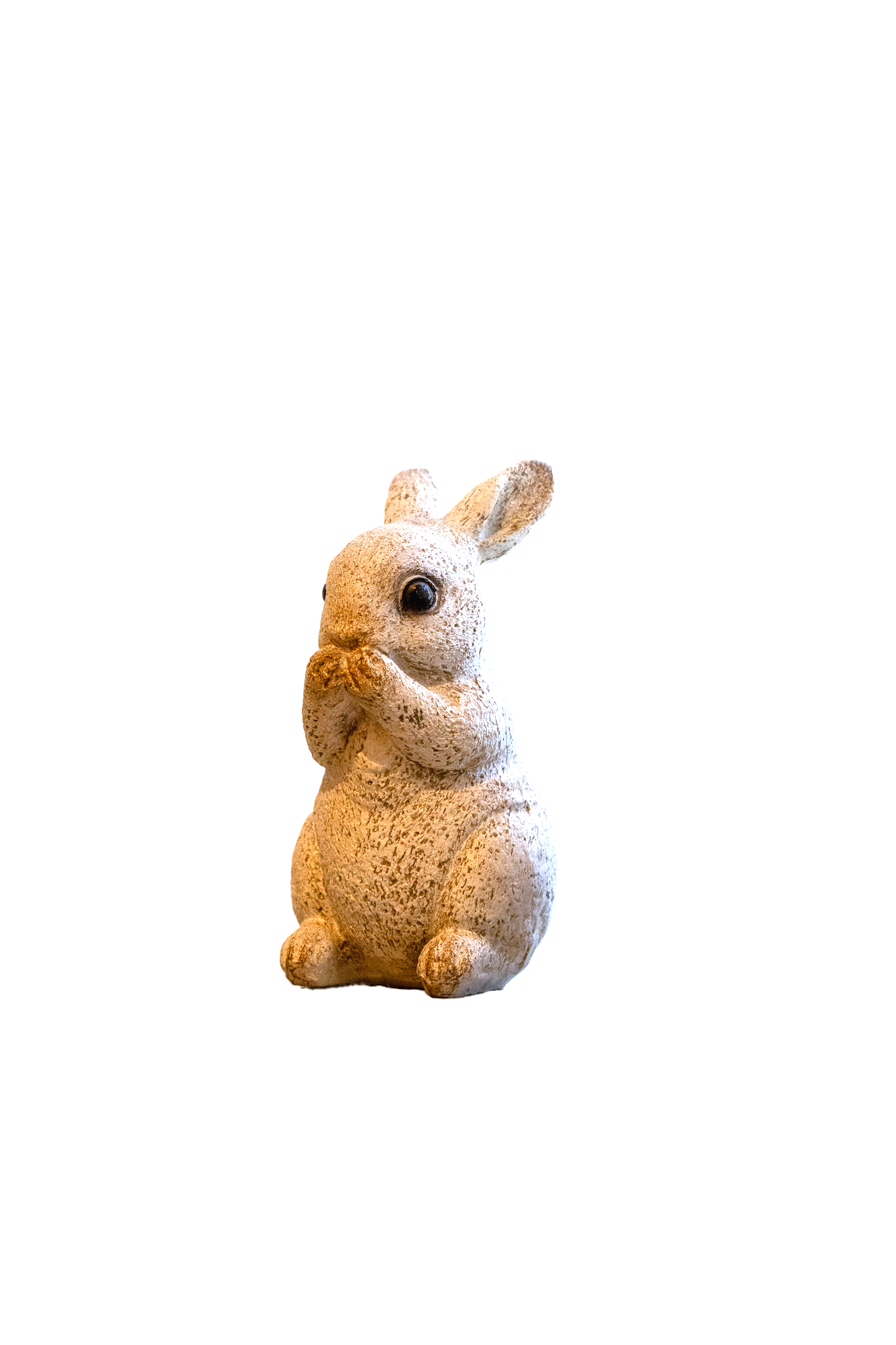 うさぎ