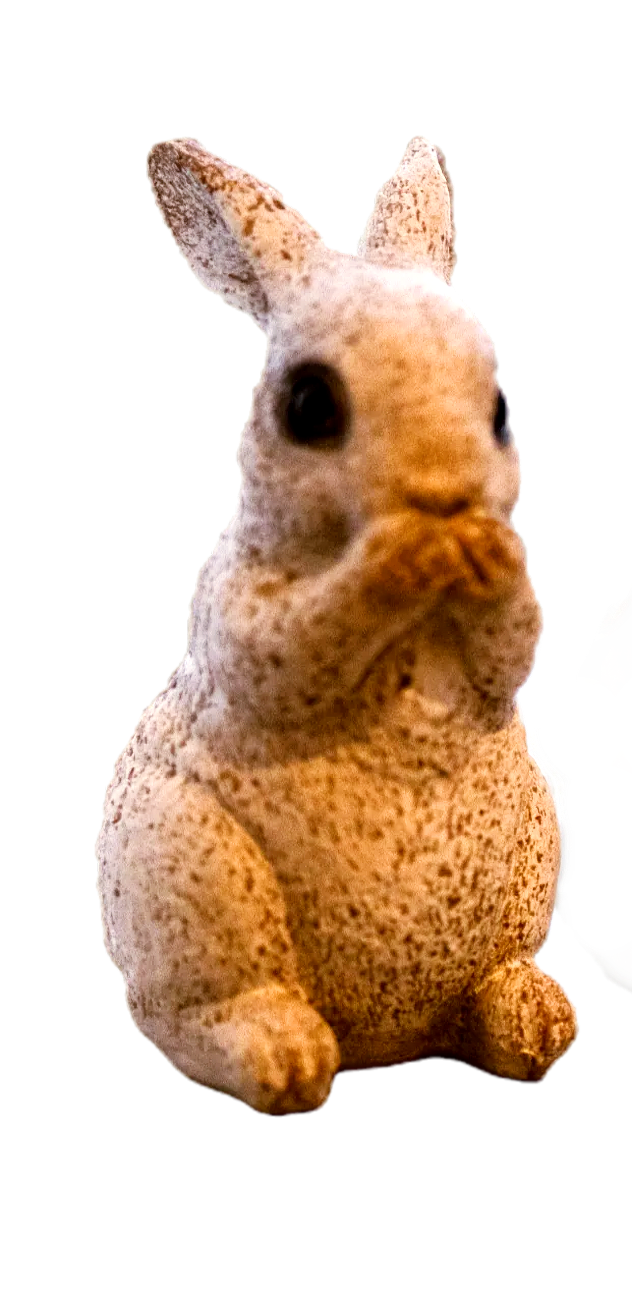うさぎ