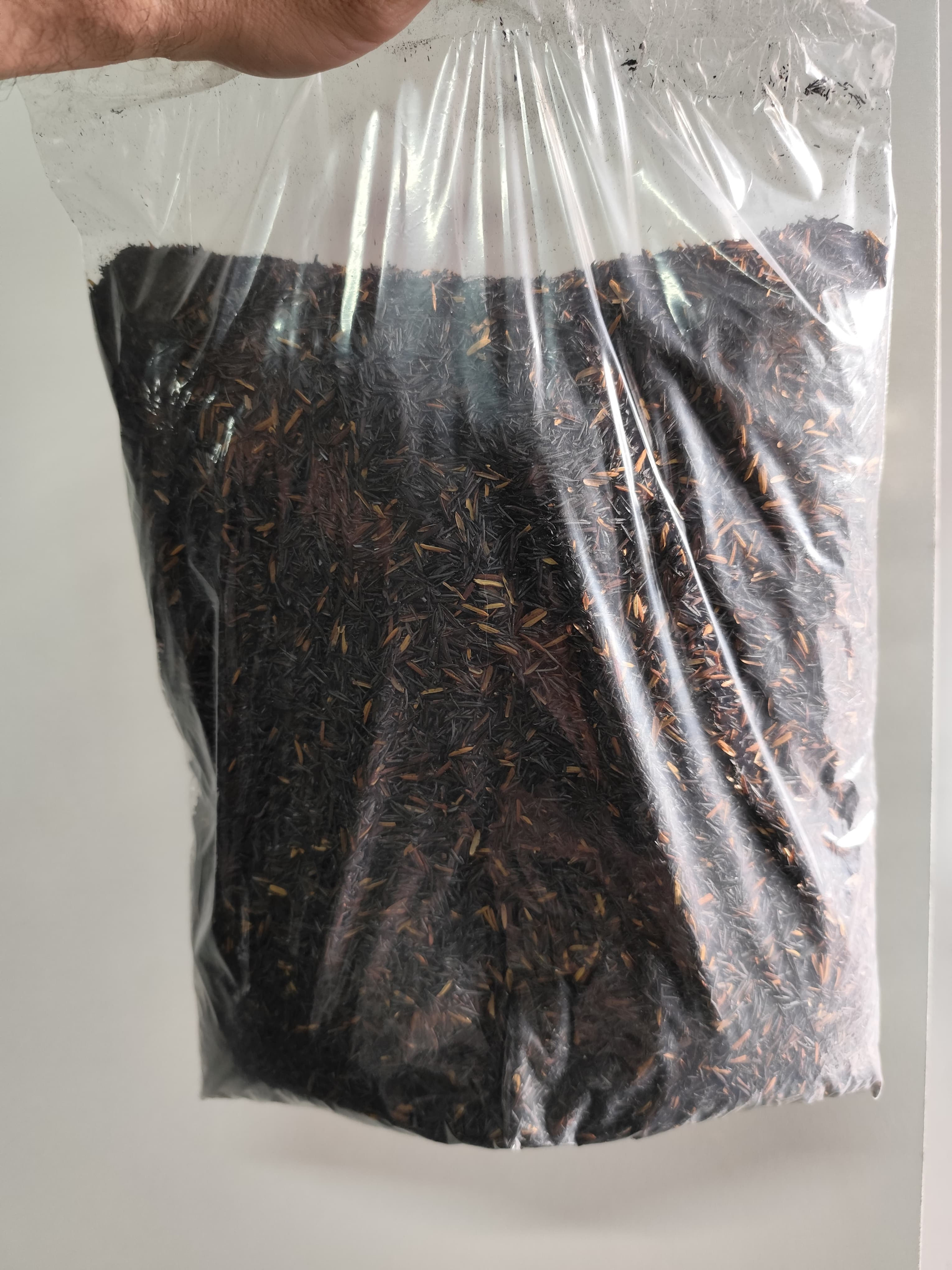 Casca arroz carbonizada 5L (700g)