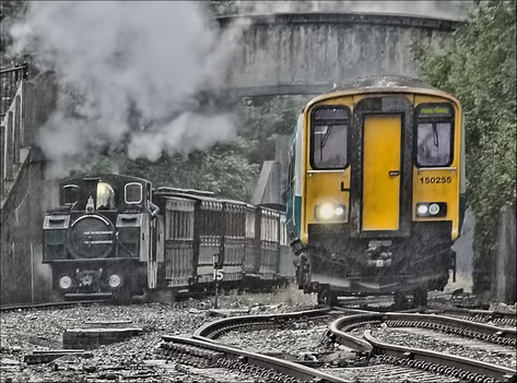 Contrasting Trains.jpg