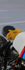 _D__1028.jpeg