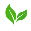 Destination Eduspace Leaf