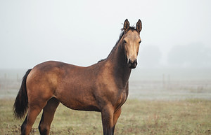 _80A5748-Bearbeitet_edited.jpg