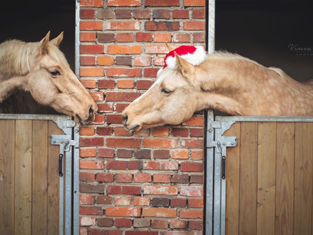 Frohe Weihnachten!
