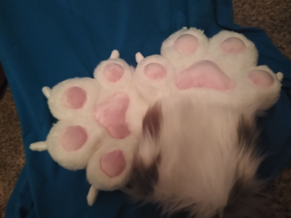 Aeko's pair of paws