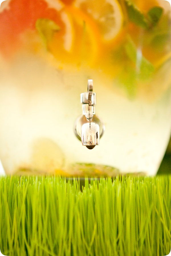 Shower Spa Water on top of Grass