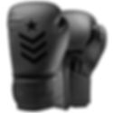 12 oz Boxing Gloves