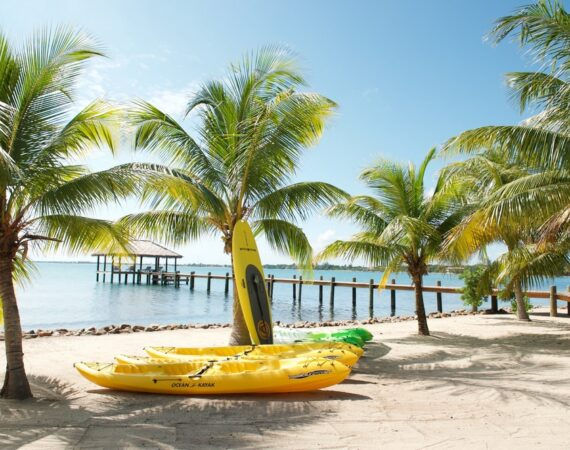 kayaks