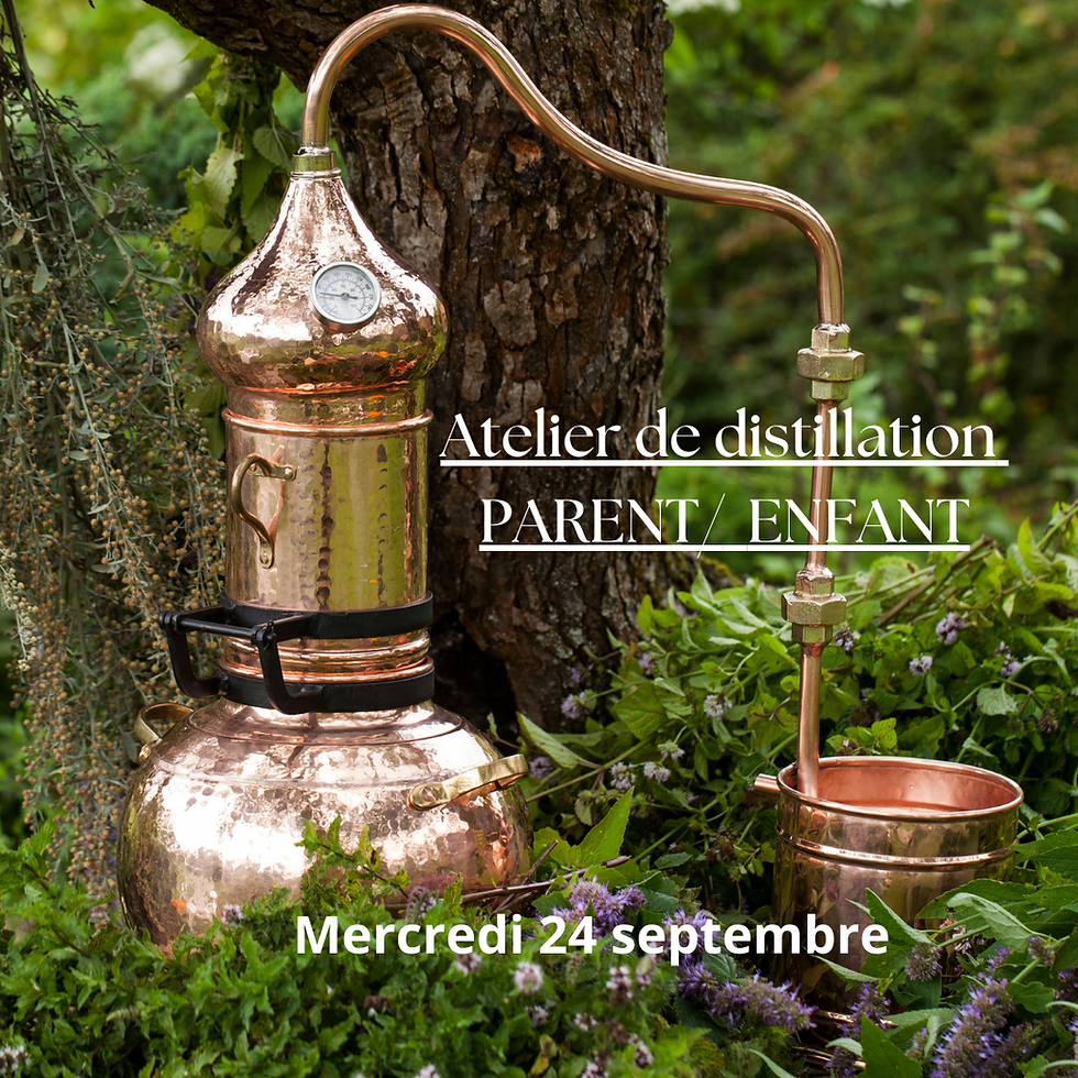 Atelier de distillation  Parent/enfant