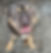 I Care 4 Your Pets Gallery 10.jpeg