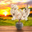Thumbnail: Bonsai Cherry Tree