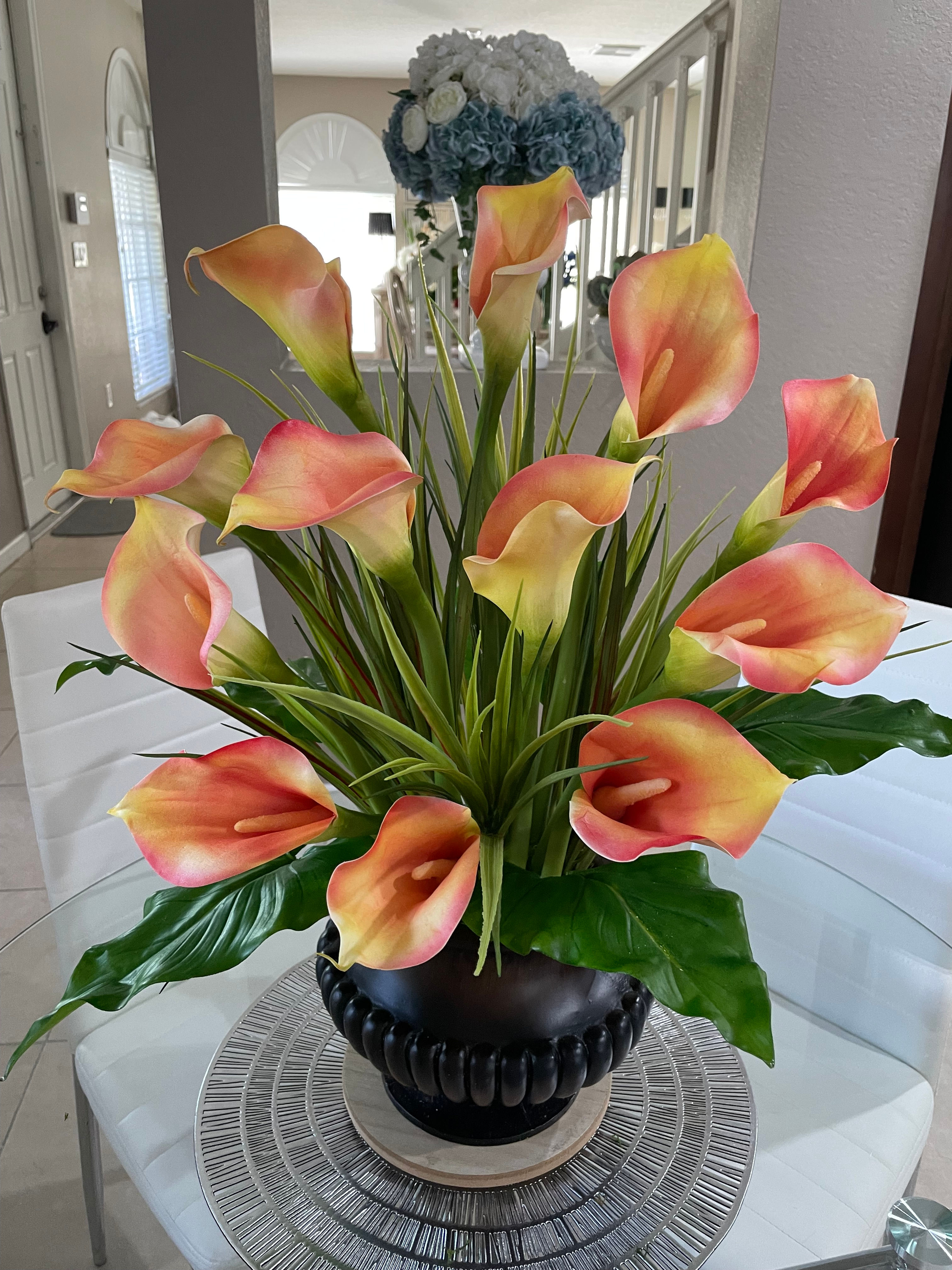 Callas de Primavera