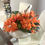 Thumbnail: Cymbidium Bundle